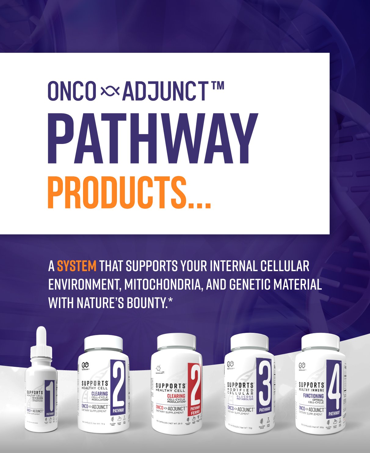 ONCO-Adjunct™ Pathway 4™
