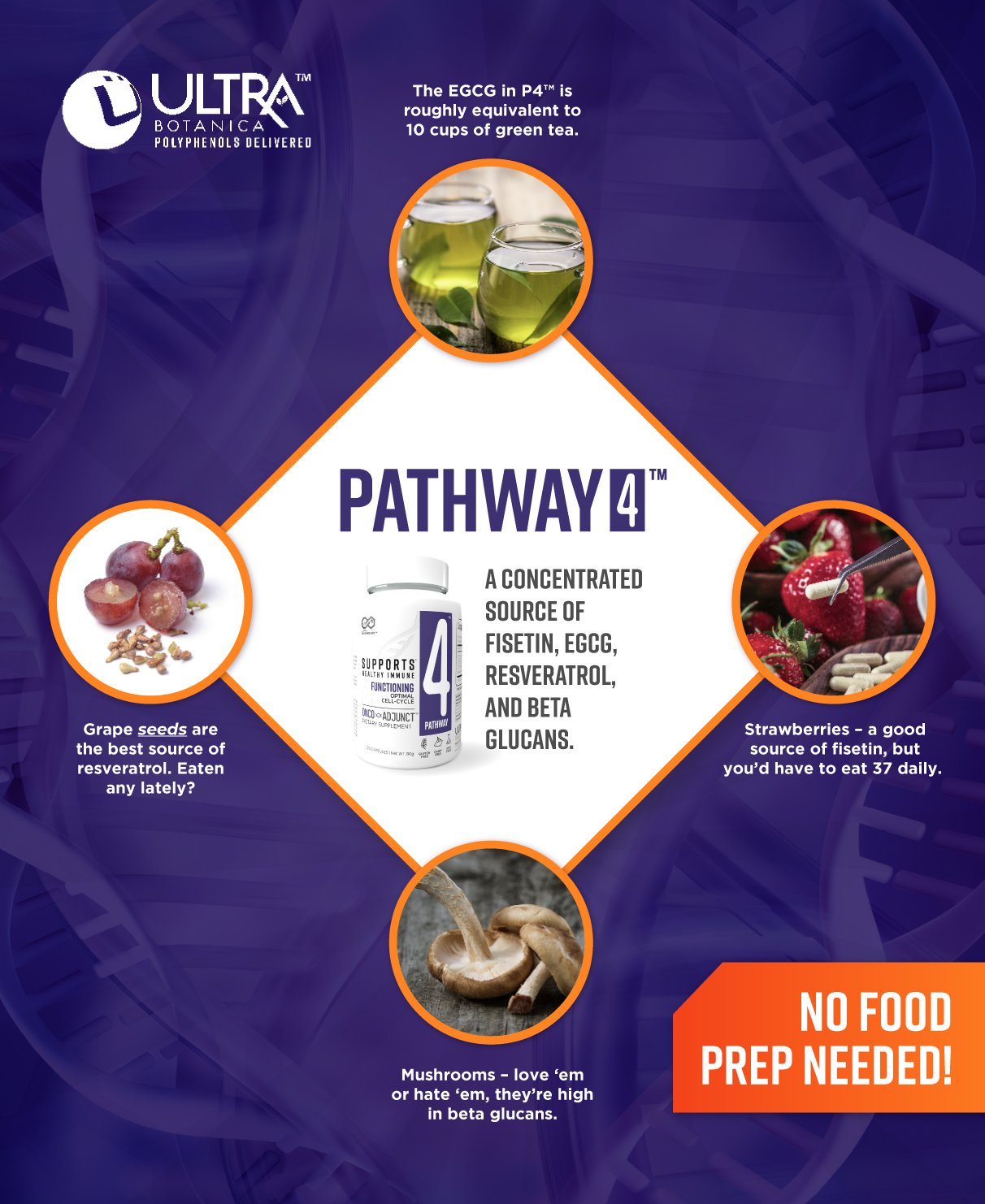 ONCO-Adjunct™ Pathway 4™
